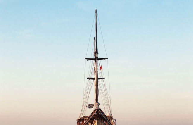 Samara II Liveaboard - Foto 12