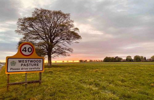 Beverley Snug - Photo 11