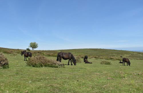 Beech Tree Cottage At Blackaton Manor Farm - Foto 22