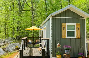 Enchanting Cottage In The Woods - Foto 1