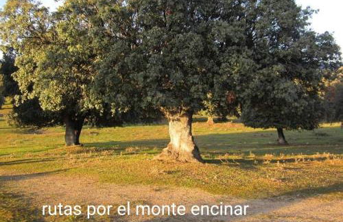 Chalet Pinara - Photo 39