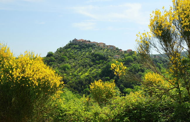 Poggio Velluto - Foto 53