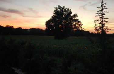 Agriturismo Villa al piano - Foto 32