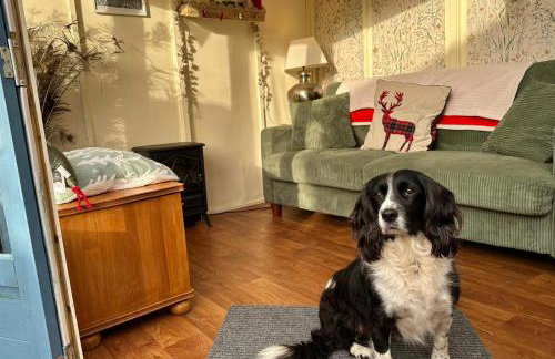 The Apple Press - Sweethay - Foto 38