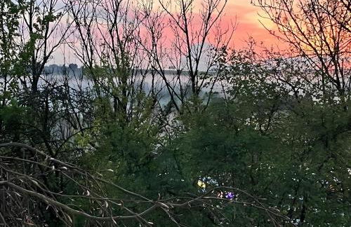 Ferienwohnung am Rotmannsweg - Foto 14