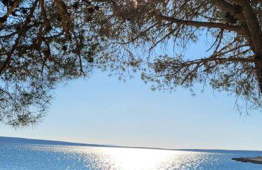 Studio apartman Pegi - Photo 25