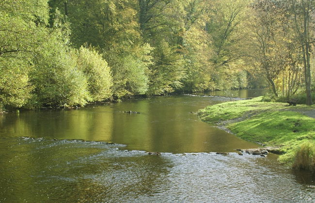 Grand Retreat in Redu - Photo 33