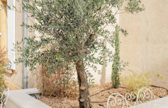 Château du Bost, 21 personnes, piscine, Beaujolais, Blacé proche Lyon - Foto 5