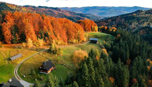 Chata na Kowalówkach - domek w górach - blisko szlaków i wyciągu - Foto 5