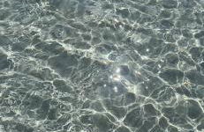 La Conchiglia sul Mare - Foto 35