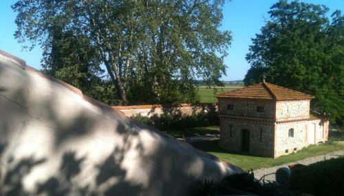 Terrasse avec vue Domaine Viticole - Foto 5, Garden view