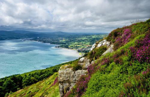 Lilys Pink House - Photo 17