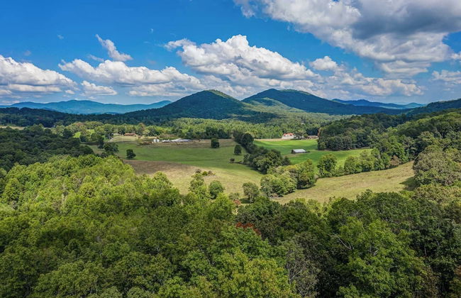 Gorgeous & Secluded 3 BDR Cabin in Mineral Bluff! - Foto 37