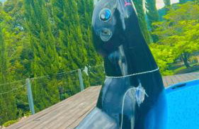 Chalé cipreste 4 Quartos - Foto 16