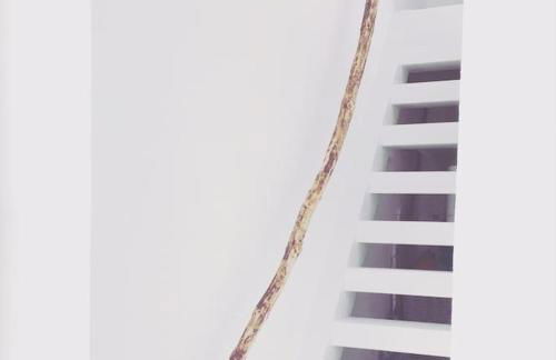 Casadasfurnazinhas - Foto 47