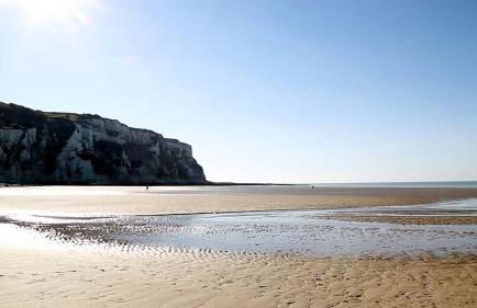 L'Eucalyptus - Foto 53