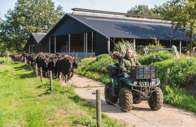 Stylish Farmhouse Escape - Foto 16