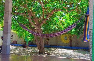 ChacaraSophya - Foto 7