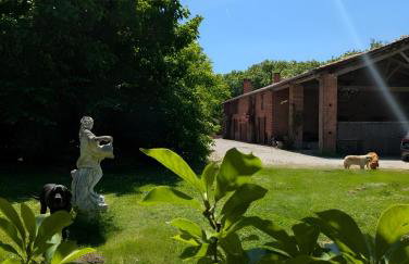 Ferme Pédagogique Bordeneuve - Foto 8