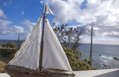 Água de Alto Main House - Photo 46