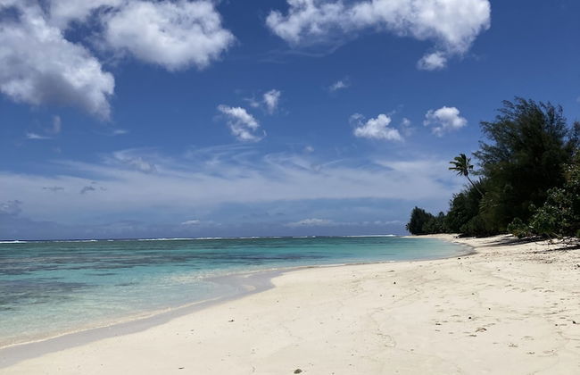 Arcadia Retreat Rarotonga - Photo 36