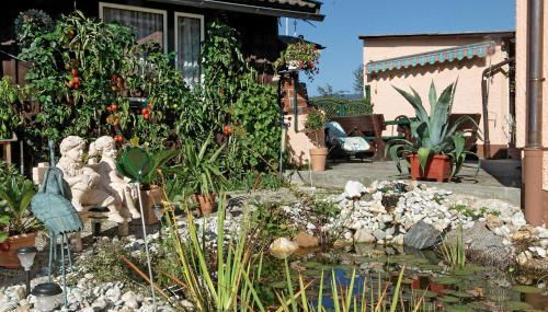 Ferienwohnungen Claus - Foto 4, Garden