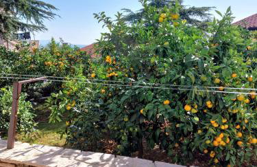 Apartment Park - Foto 16