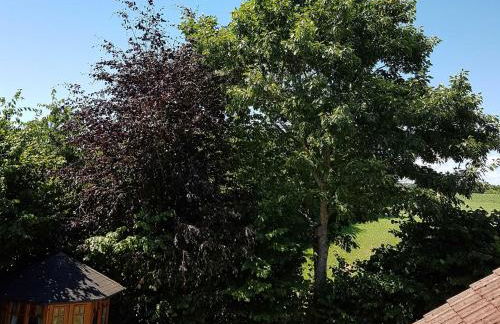 Giese FeWo Küstenglück - Foto 26