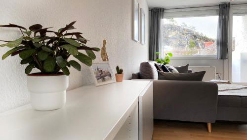 Wohnliches Design Apartment in schöner Lage nahe Ulm & Science Park - Foto 5