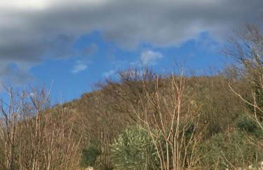 La Casa di Franco - Photo 29