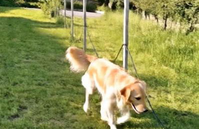 Bon Chalet Tirano Dog Friendly - Photo 48