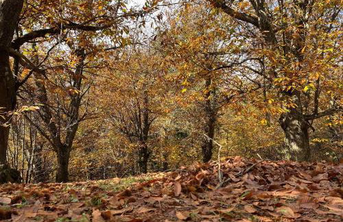 Historic Farmhouse Casa Del Chiodo - Foto 76