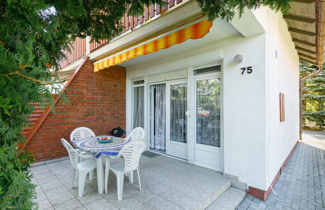 Mathias Rex - Foto 2