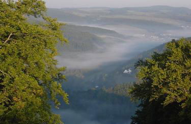 Ferienwohnung Eifelluft - Foto 18