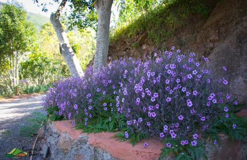 Cuevas De Barreto - Foto 45