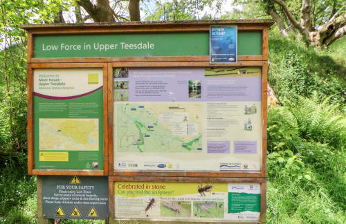 Forestside View - Photo 59