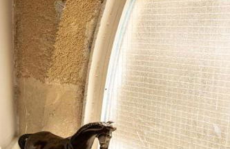 La Casa de los Arcos - Casco Histórico - Parking opcional - Foto 35