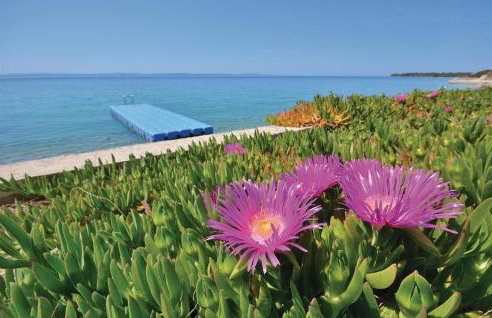 Apartment Kozino I - Photo 20