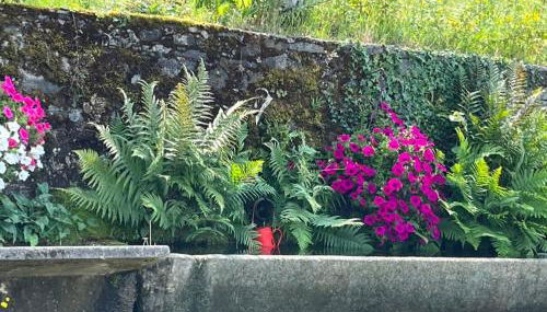 La Maison bleue - Foto 3