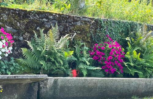 La Maison bleue - Photo 3