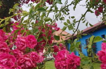 Agroturystyka Jagoda - Photo 3