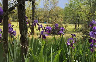 Les fontanelles du quercy blanc - Foto 37
