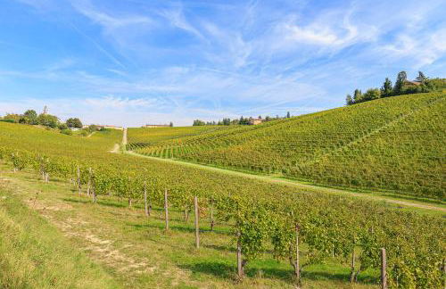 Apartment in Gavi near Serravalle Outlet - Foto 34