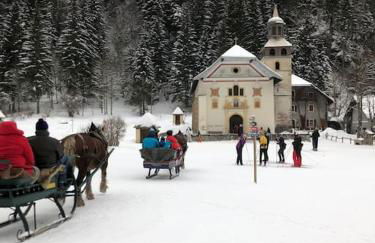 Appartement au pays du Mont-Blanc - Foto 21