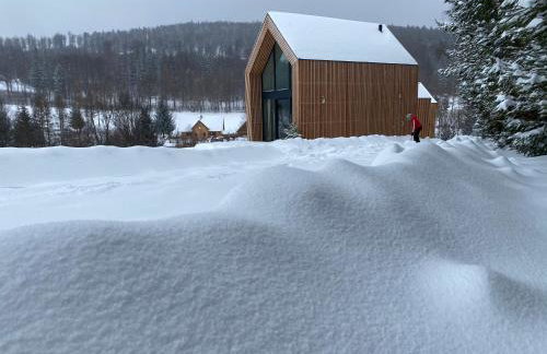 Domki Pod Lasem - Domek Brzozowy - Foto 38