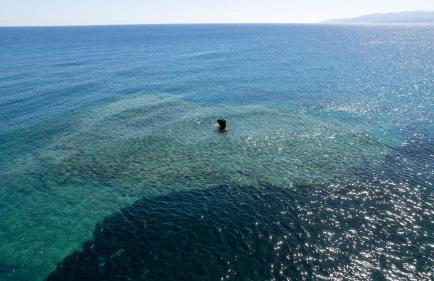 GEMM Beach House - Foto 51