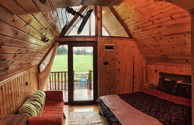 Ayvalık Sural Çiftliği Since 1899 - Foto 3