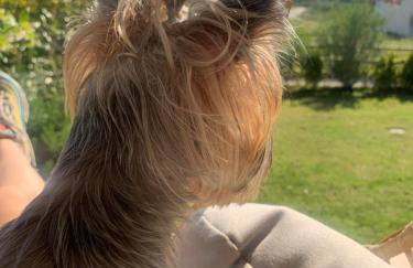 Морска къща ЕММА - Foto 39