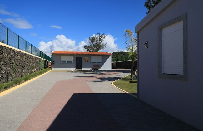 Parrots Village - Foto 36