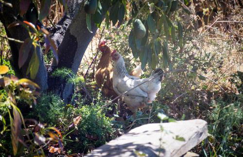 La casa de La Cartita - Foto 17